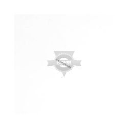 Briggs & Stratton 691775 Float Hinge Pin 