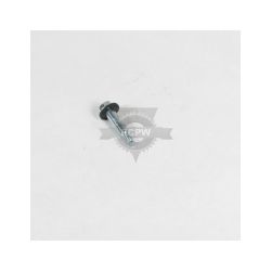 Briggs & Stratton 692311 Screw/Washer Kit 