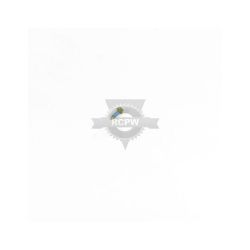Briggs & Stratton 692523 Screw 