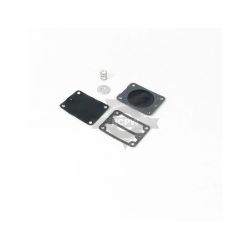 Briggs & Stratton 693502 Fuel Pump Kit 