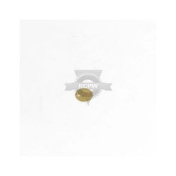Briggs & Stratton 696564 Throttle Valve 