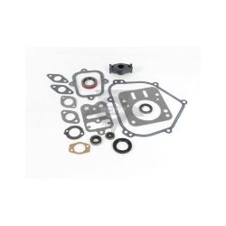 Briggs & Stratton 698216 Engine Gasket Set 