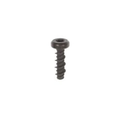 Briggs & Stratton 698304 Screw 