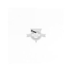 Briggs & Stratton 698589 Screw 
