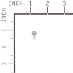 Briggs & Stratton 699200 Screw - BRS 699200