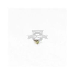 Briggs & Stratton 699234 Screw 