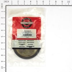 Briggs & Stratton 7017226YP Mid Duty Driven Disc - BRS 7017226YP