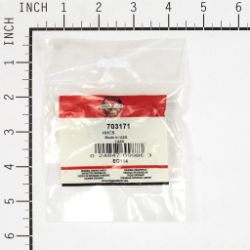 Briggs & Stratton 703171 Hex Head Cap Screw - BRS 703171
