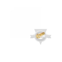 Briggs & Stratton 710025MA 1/4-20 X .75 Screw 