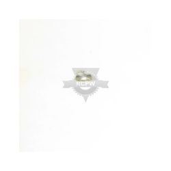 Briggs & Stratton 783000MA .343 ID X 1.0 X .06 Washer 
