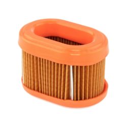 Briggs & Stratton 790166 Air Filter 