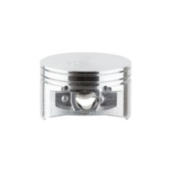 Briggs & Stratton 793647 Piston Assembly 