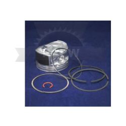 Briggs & Stratton 793648 Piston Assembly +.020 