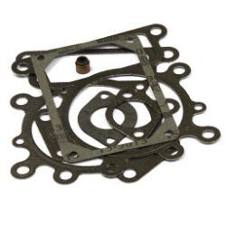Briggs & Stratton 794152 Valve Gasket Set 