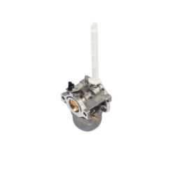Briggs & Stratton 796122 Carburetor 