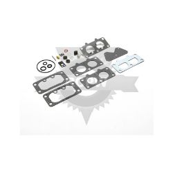 Briggs & Stratton 797890 Carburetor Overhaul Kit 