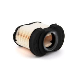 Briggs & Stratton 798748 Air Filter 
