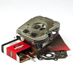 Briggs & Stratton 84001918 #1 Cylinder Head 