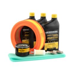 Briggs & Stratton 84004936 Maintenance Kit 