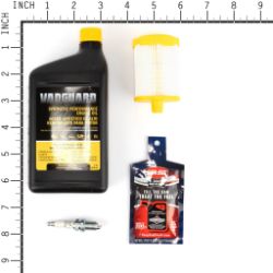 Briggs & Stratton 84006008 Maintenance Kit - BRS 84006008
