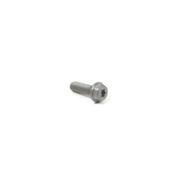Briggs & Stratton 846149 Screw 
