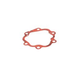 Briggs & Stratton A2069GS Head Gasket 