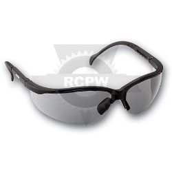 ECHO 102922453 Traveller Safety Glasses 
