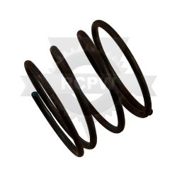 ECHO 215603 Spring 
