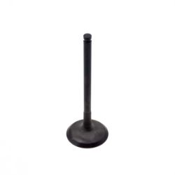 Kawasaki 12004-0794 Intake Valve 