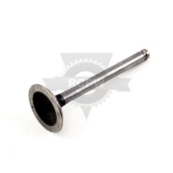 Kawasaki 12004-7001 Intake Valve 