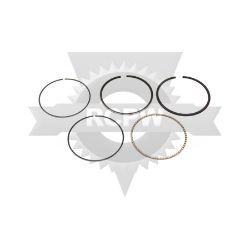 Kawasaki 13025-7002 L 0.5 Piston Ring Set 