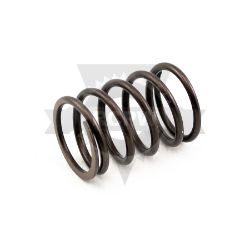 Kawasaki 49078-2083 Engine Valve Spring 