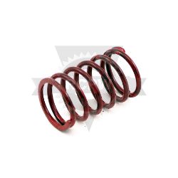 Kawasaki 49078-7001 Engine Valve Spring 