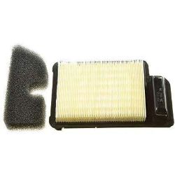 Kohler 20 883 06-S1 Air Filter Kit 