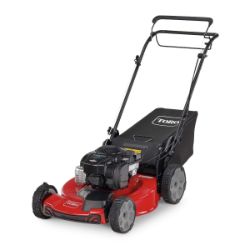 Toro 21442 22" Recycler Self-Propelled Gas Lawn Mower - TOR 21442