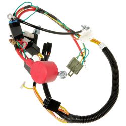 MTD 725P06273A CR12 3POS Harness 