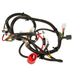 MTD 725P06722A E-PT Main Harness 