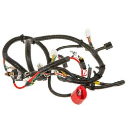 MTD 725P06722A E-PT Main Harness - MTD 725P06722A