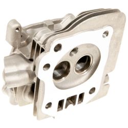 MTD 751P14928A Cylinder Head - MTD 751P14928A