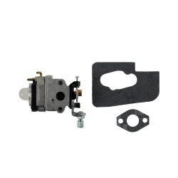 MTD 753-06442 MPP BKPK Carburetor 