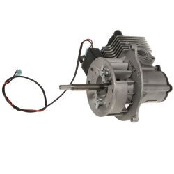 MTD 841P014182S 25cc Short Block - MTD 841P014182S