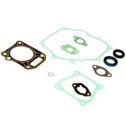 MTD 951-10951A Complete Gasket Kit - MTD 951-10951A