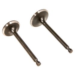 MTD 951-11337 Valve Kit 