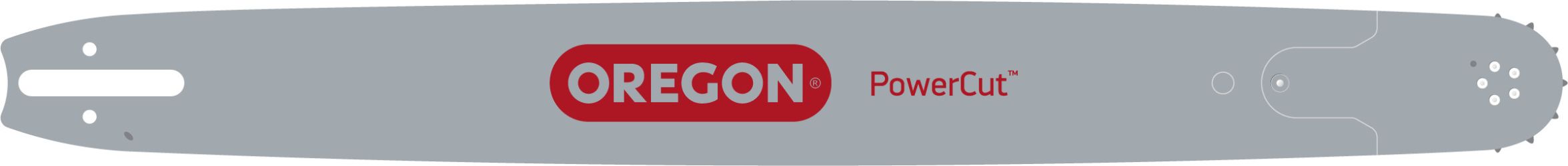 Oregon 243RNDD025 24-inch PowerCut Oregon Bar 