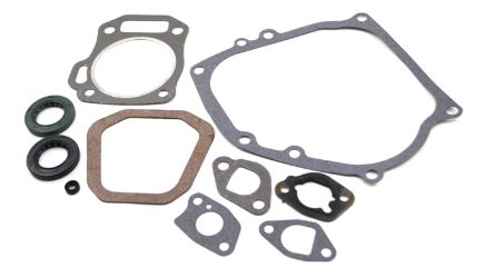 Toro 119-1955 Gasket & Seal Kit 