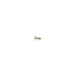 Toro 32105-2 SHWH Screw - TOR 32105-2
