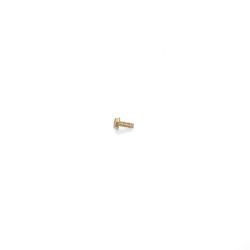 Toro 32144-1 Taptite Screw - TOR 32144-1