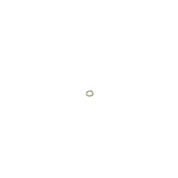 Toro 3253-17 Lock Washer - TOR 3253-17