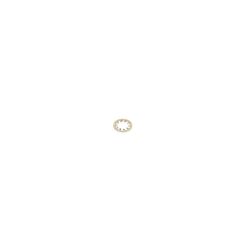 Toro 3254-2 Internal Lock Washer 