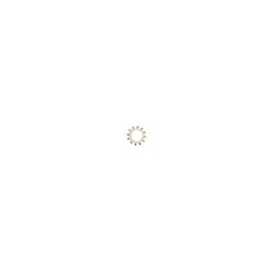 Toro 3255-8 Lock Washer - TOR 3255-8